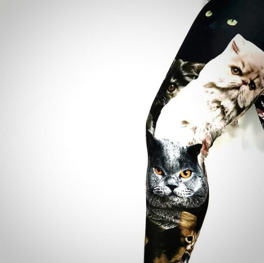 Legging Photo de chats